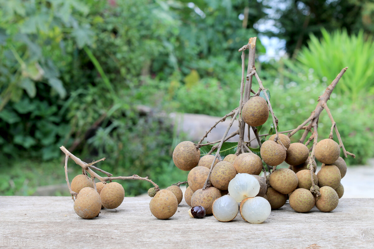 經常用(yòng)腦(nǎo)，試試這(zhè)款茶飲，營養師爲你推薦